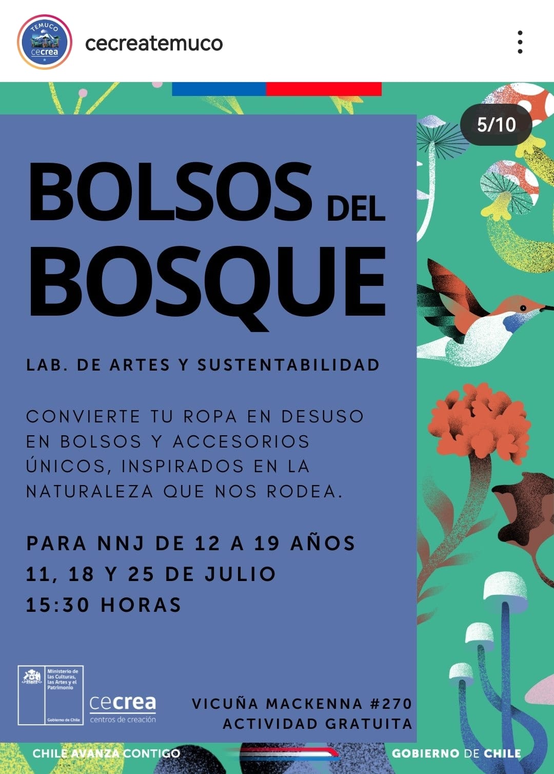 Bolsos del bosque