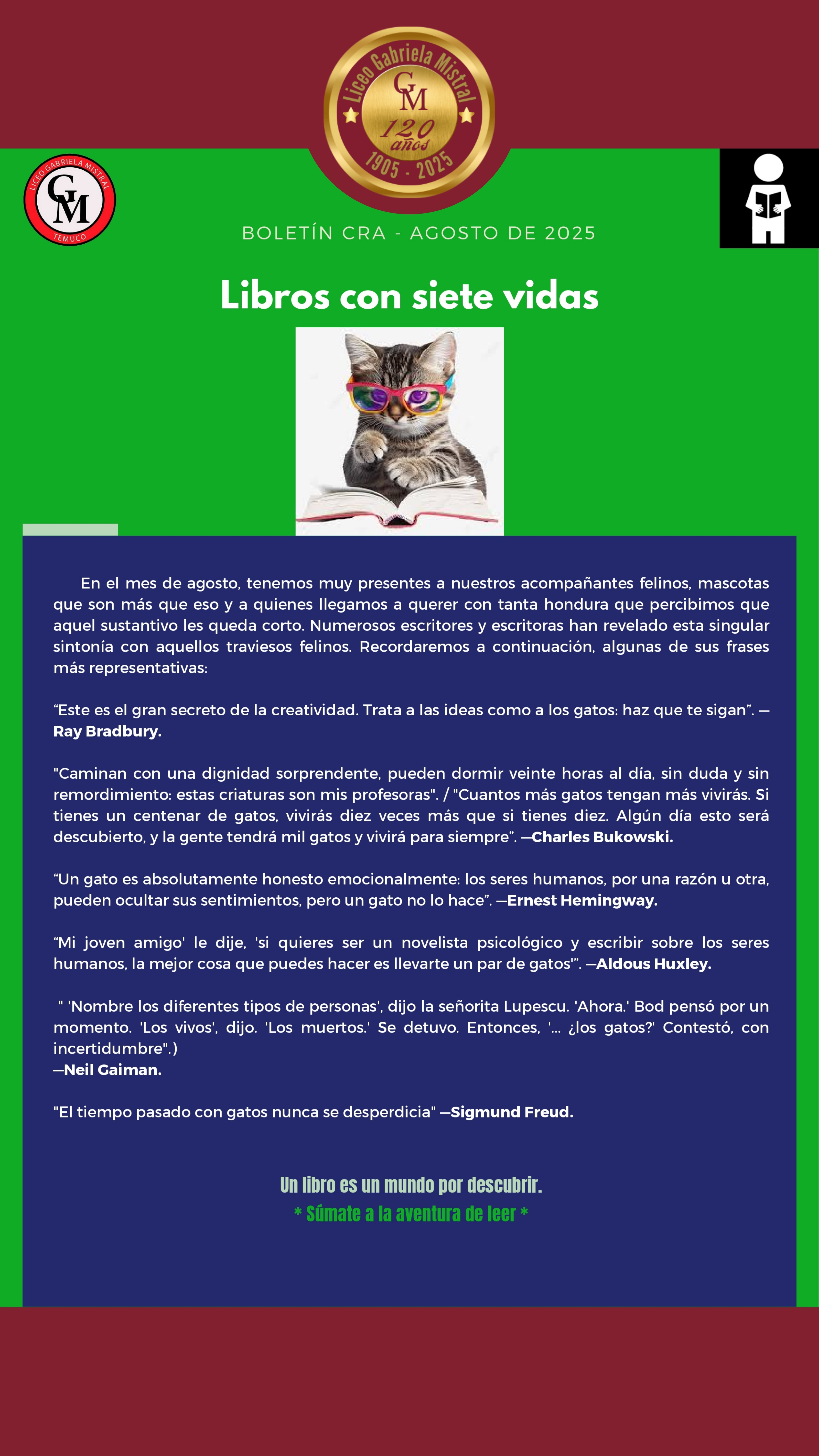 Foto 3 - Libros con 7 vidas